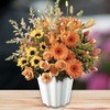 FloraCraft Floral Design Container 5.4 Inch x 5.9 Inch x