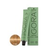 Schwarzkopf Igora Zero Ammonia Color Creme - 7-55 Medium Blonde