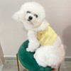 Cat Bowknot Knitwear Breathable Soft Cotton Small Dog Sweater for