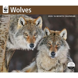 Carousel Calendars, Wolves WWF 2026 Wall Calendar, 12.01'' X 14.09'', 16-Month Calendar with Stapled Binding