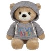 Ganz Get Well Soon Teddy Bear 9 Inch Gray Plush