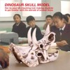 Triceratops de resina con diseño de calavera de imitación de