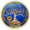 Dancing for Life Three Year Sobriety Coin-Sobriety Gifts for Anniversary -Tree of Life AA Coin Medallion with Token Capsule-3 Year Sobriety Coin Gifts for Men Women