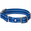 Blueberry Pet Essentials Reflective Dog Collar & Leash Set, Adjustable