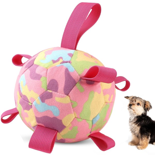 QDAN Interactive Dog Toys, Remote Control, Rechargeable Moving Dog Balls,