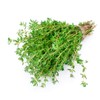 Health Embassy Thyme Herb | Thymus Serpyllum L | Herbal
