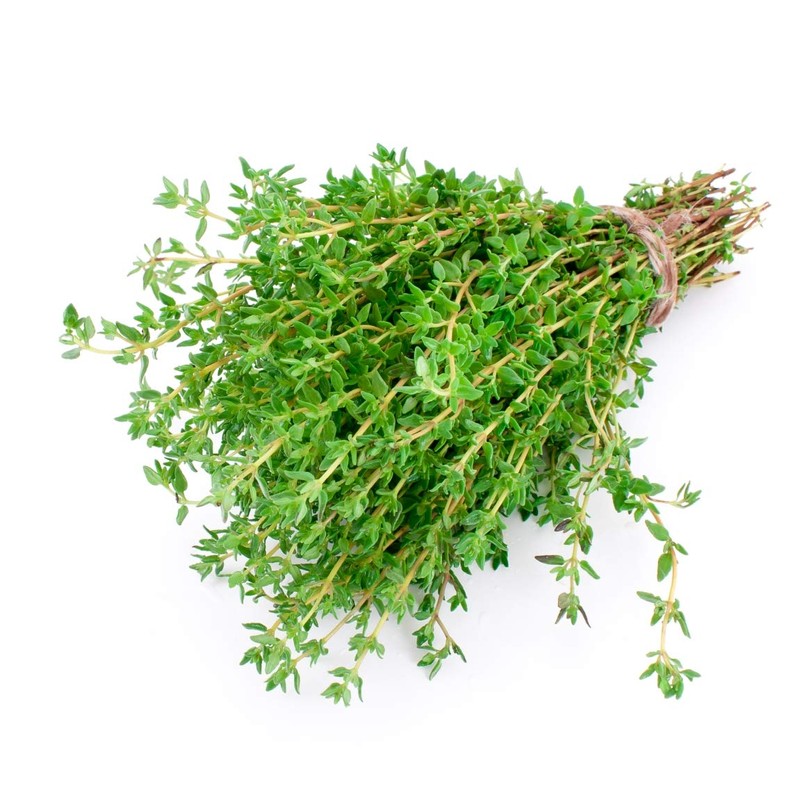 Health Embassy Thyme Herb | Thymus Serpyllum L | Herbal