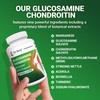 Dr. Berg Glucosamine Chondroitin MSM Turmeric & Boswellia - Advanced