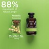 Apivita Mountain Tea Doccia Energizzante Gel with Montagna Tea 250ml