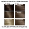 AGEbeautiful Permanent Liqui Creme Hair Color Dye | 100% Gray
