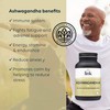 Ashwagandha Root Extract | 32.5mg Active Withanolides | Each dose