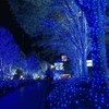 RunQiao Blue Solar Fairy String Lights Outdoor Garden Waterproof 164ft/