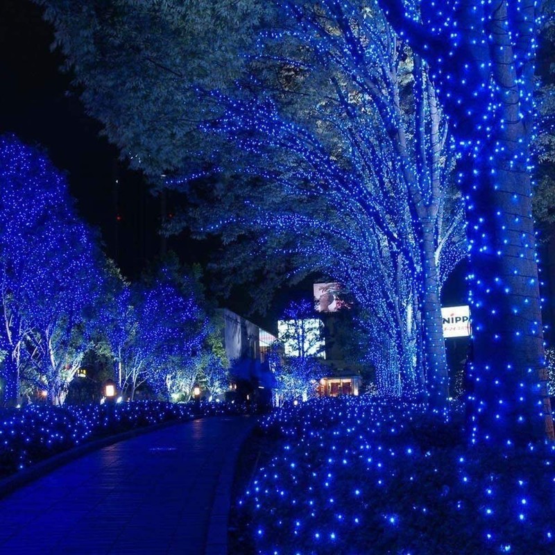 RunQiao Blue Solar Fairy String Lights Outdoor Garden Waterproof 164ft/