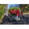 NAT & Jules Small Sleeping Dragon Moss Finish 10 inch