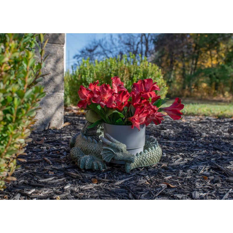 NAT & Jules Small Sleeping Dragon Moss Finish 10 inch