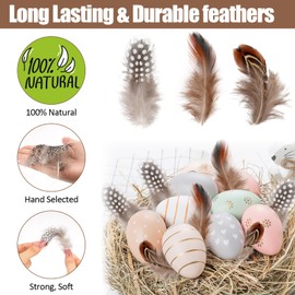 Pack of 300 3 Style Feathers, Brown, Natural Feathers for Crafts, Feathers Crafts, Pheasant Feathers, Craft Feathers, Decoration, Indian Feather for DIY Decoration, Easter Mask, Dream Catcher Crafts