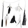 SONGWAY Cat Wand Toys for Indoor Cats - Cat Feather