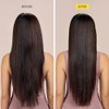 Drybar Liquid Glass Smoothing Shampoo, Blanc Scent, 8.5 fl. oz.