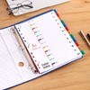 Pack of 5 A4 Polypropylene Dividers (Multi-Colour)