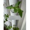 Reusable Plant Labels for Gardyn Hydroponic Systems (Set of 10)