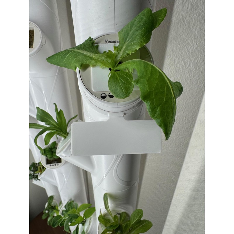 Reusable Plant Labels for Gardyn Hydroponic Systems (Set of 10)