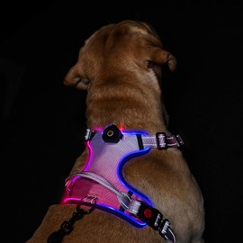 LED Light Up Dog Harness: USB Rechargeable Glowing Waterproof Reflective No Pull Adjustable Oxford Vest with Easy Control Handle for Pet Outdoor Night Safety Walking (Gradient Pink, Small)