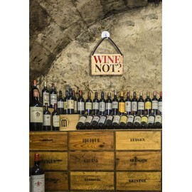 schilderkreis24 Tin Sign Funny Saying "Wine Not?" Decorative Sign Hanging Sign Gift Idea Retro Funny Gift for Birthday Christmas Wine Cellar Wine Bar Wine Arbour 18 x 12 cm