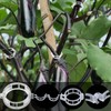 SANOU Tomato Hooks Pack of 100 Tomato Hooks with 60