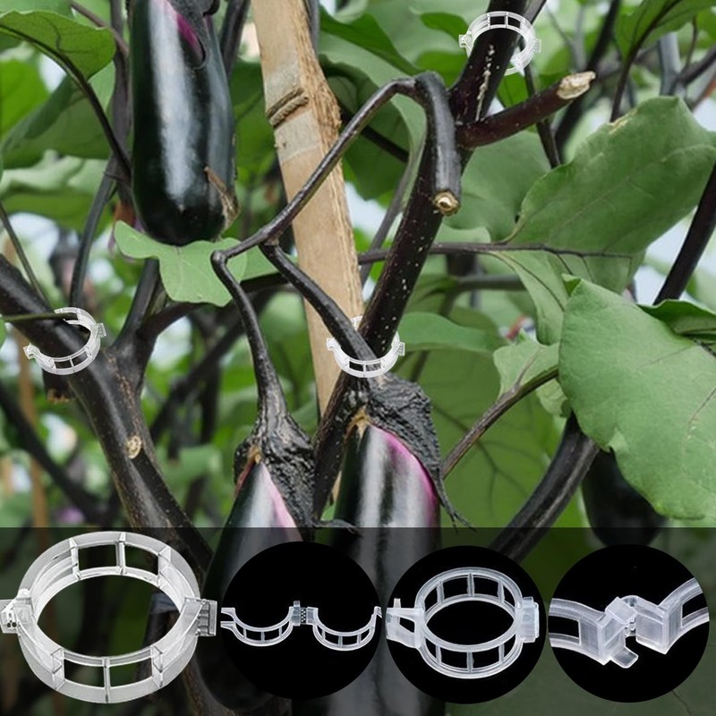 SANOU Tomato Hooks Pack of 100 Tomato Hooks with 60