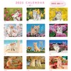 Active Corporation 2025 Calendar, Wall CAT Wall Calendar, 25ACL-02, Begins