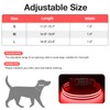 Light Up Dog Collar,LED Dog Collar Light Rechargeable,Glow in The