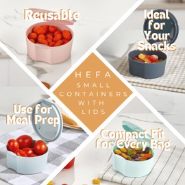 HEFA Small Containers with Lids, Snack Containers, Salad Dressing Containers, Reusable Small Plastic Food Storage Containers, 4-Pcs (4oz) (Aurora Mix)
