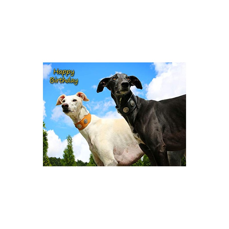 Greyhound Birthday Card