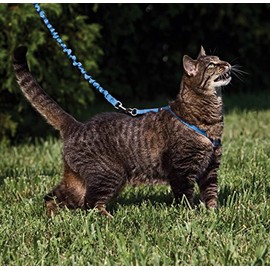 PetSafe Come with Me - Arnés de Gatito y Correa elástica, arnés para Gatos, Azul RealAzul Marino, Large                                               