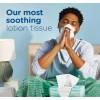 Puffs Plus Lotion Facial Tissues, 8 Family Boxes, 124 Facial