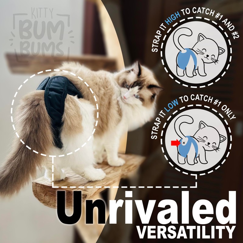 Kitty Bum Bums Reusable Cat Diapers and Stud Pants to