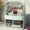 Purety 2-Tier Drawer Cosmetic Organizer with Lid (30x40cm) (Mint)