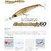 ko-moran (Cormoran) Lure syaro-mazikku 60 # A83 Venus Peacock.
