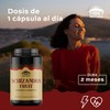 TIBET NATURA - Schizandra - 60 Cápsulas 500 mg c/u