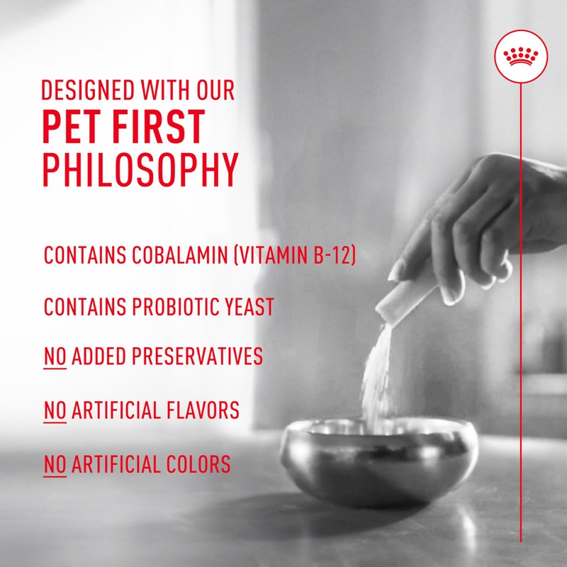 Royal Canin Probiotics for Cats Digestive and Immune Health Powder