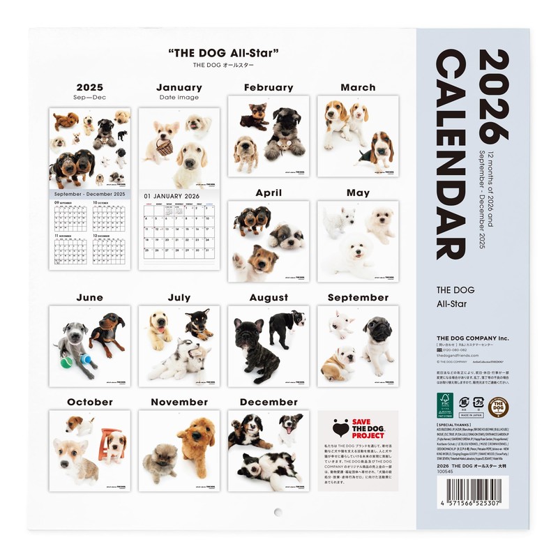 THE DOG 2026 Wall Calendar Large Size (All Star)