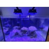 Reefi Uno 2.0 and 2.1 Light Shade