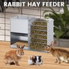 Automatic Rabbit Feeders for Cage Hay Feeder 4.5L Bunny Feeder