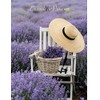 Lavender French Hard Candy from L'Ami Provencal 5.29oz
