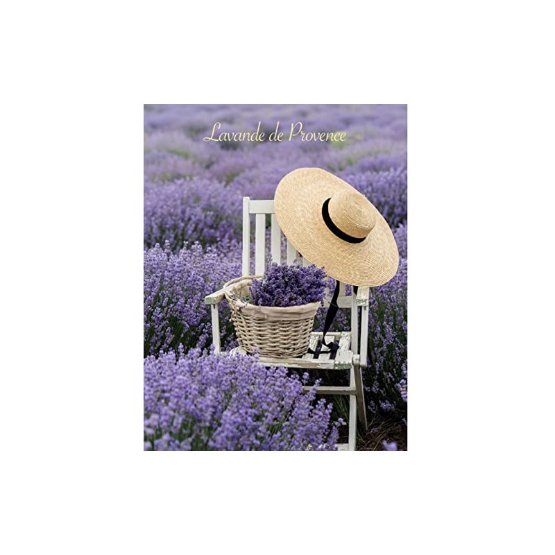 Lavender French Hard Candy from L'Ami Provencal 5.29oz