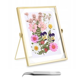 Luckwaii Glass Picture Frame Glass Metal Photo Frame Glass Double Glass Picture Frame 15 x 20 cm Glass Frame for Pressed Flowers Plant Sample Artwork Picture Display Holder