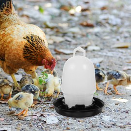 INOOMP Bebedero para Pollos con Mango Bebedero para Aves De Corral | Bebedero Automático para Aves De Corral De Gran Capacidad | para Patos Pollitos Gallinas Y Más.