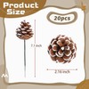 20 Pieces Christmas Pine Cones Decorations Picks, 2 Inch Natural