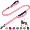 Fida 4 FT Heavy Duty Dog Leash with 2 Comfortable