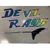 AWESOME SIX PIECE TAMPA BAY DEVIL RAYS JERSEY IRON ON